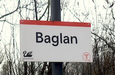 Swanline line logo sign