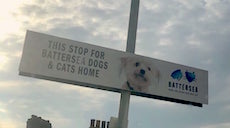 Battersea Park station sign