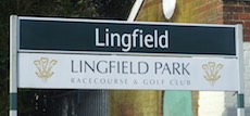 Lingfield station sign