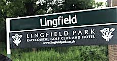 Lingfield station sign