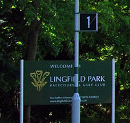 Lingfield station sign